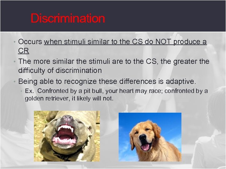 Discrimination • Occurs when stimuli similar to the CS do NOT produce a CR