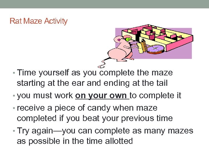 Rat Maze Activity • Time yourself as you complete the maze starting at the