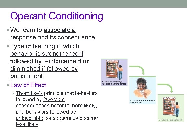 Operant Conditioning § We learn to associate a response and its consequence § Type