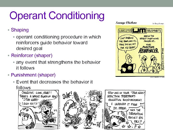 Operant Conditioning § Shaping § operant conditioning procedure in which reinforcers guide behavior toward