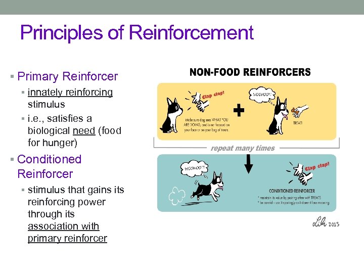 Principles of Reinforcement § Primary Reinforcer § innately reinforcing stimulus § i. e. ,