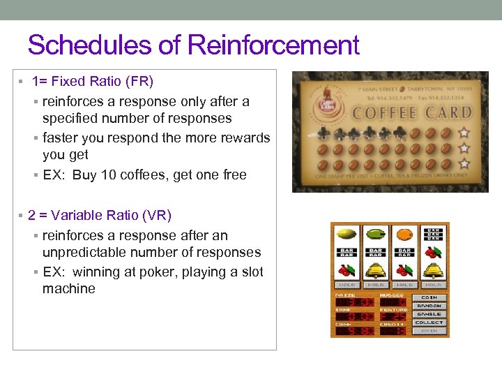 Schedules of Reinforcement § 1= Fixed Ratio (FR) § reinforces a response only after