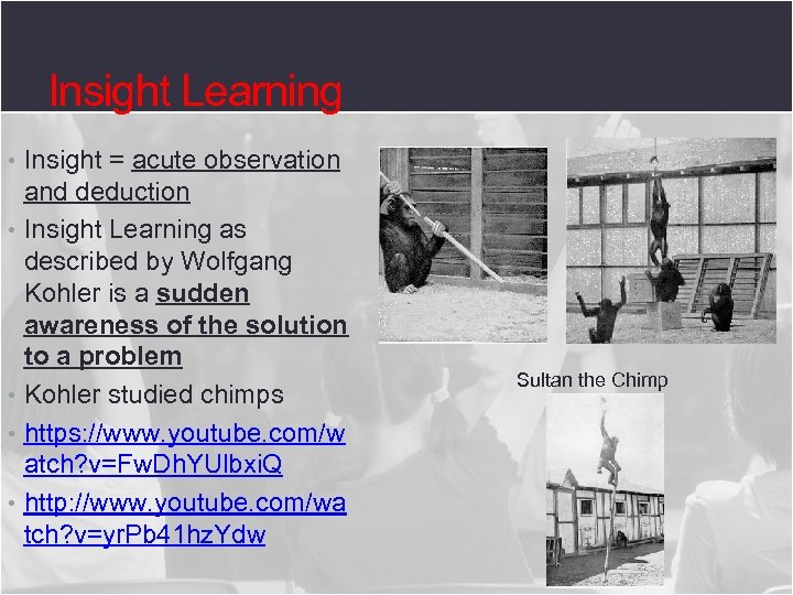 Insight Learning • Insight = acute observation and deduction • Insight Learning as described