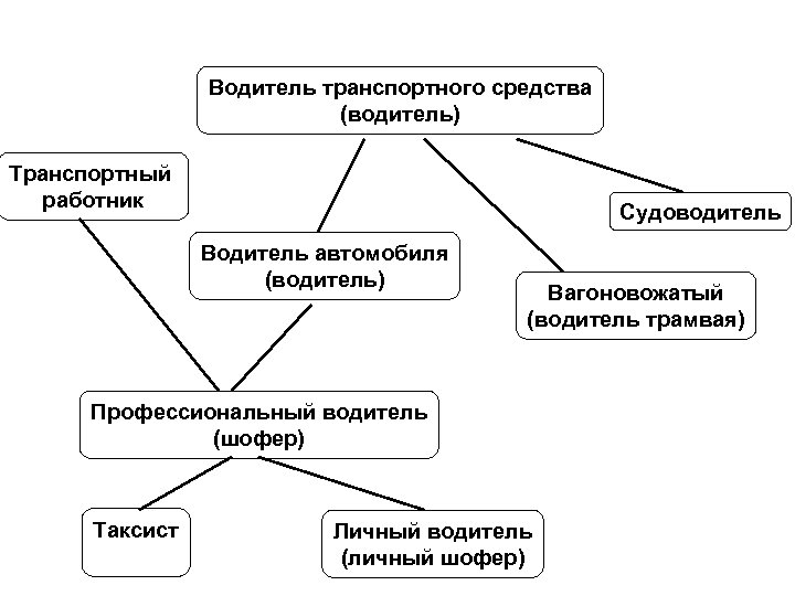 Водитель транспортного средства (водитель) Транспортный работник Судоводитель Водитель автомобиля (водитель) Вагоновожатый (водитель трамвая) Профессиональный