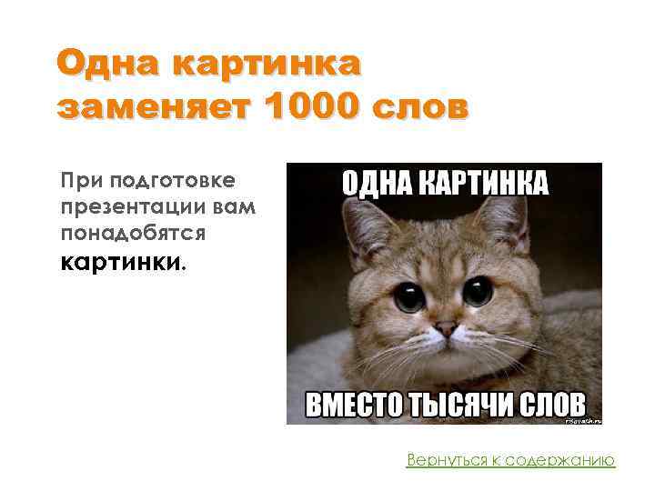 Одна картинка заменяет 1000 слов При подготовке презентации вам понадобятся картинки. Вернуться к содержанию