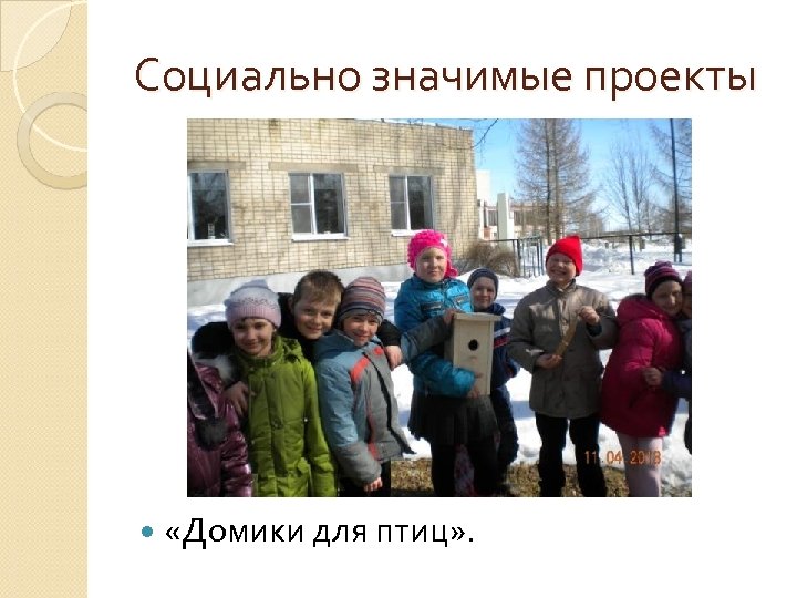 Социально значимые проекты «Домики для птиц» . 