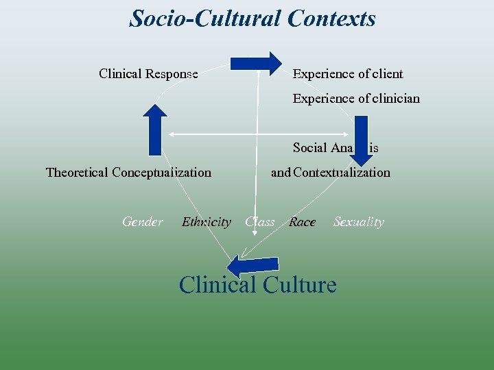 Socio-Cultural Contexts Clinical Response Experience of client Experience of clinician Social Analysis Theoretical Conceptualization