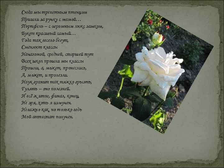 Сюда мы трепетным птенцом Пришли за ручку с мамой… Портфель – с огромным люкс