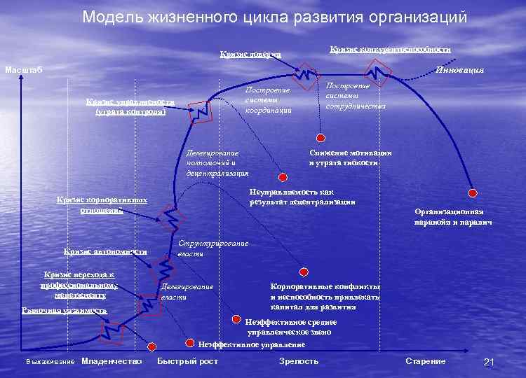 Модель жизненного цикла развития организаций Кризис конкурентоспособности Кризис доверия Инновация Масштаб Кризис управляемости (утрата