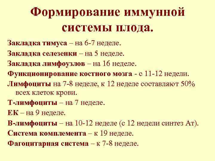 Формирование иммунной системы плода. Закладка тимуса – на 6 -7 неделе. Закладка селезенки –