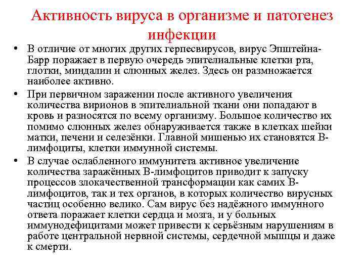 Активность вируса в организме и патогенез инфекции • В отличие от многих других герпесвирусов,