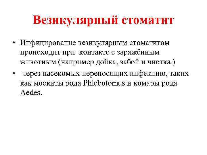 Везикулярный стоматит • Инфицирование везикулярным стоматитом происходит при контакте с заражённым животным (например дойка,