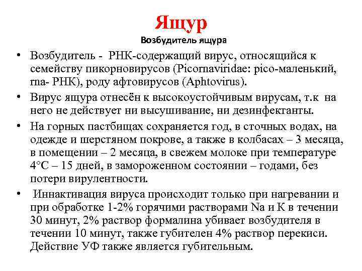Ящур Возбудитель ящура • Возбудитель РНК содержащий вирус, относящийся к семейству пикорновирусов (Picornaviridae: pico