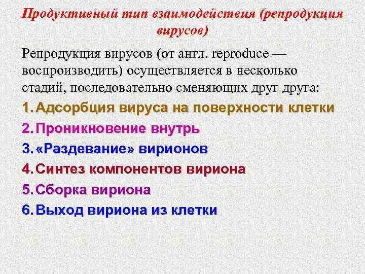 Продуктивный тип взаимодействия (репродукция вирусов) Репродукция вирусов (от англ. reproduce — воспроизводить) осуществляется в