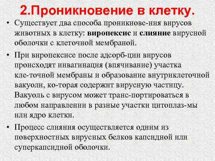 2. Проникновение в клетку. • Существует два способа проникнове ния вирусов животных в клетку: