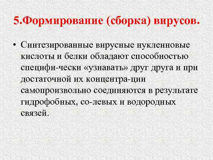 5. Формирование (сборка) вирусов. • Синтезированные вирусные нуклеиновые кислоты и белки обладают способностью специфи