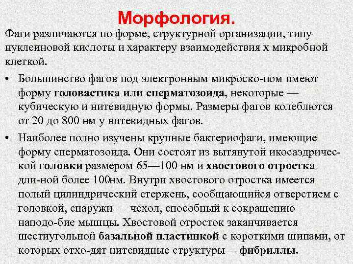 Морфология. Фаги различаются по форме, структурной организации, типу нуклеиновой кислоты и характеру взаимодействия х
