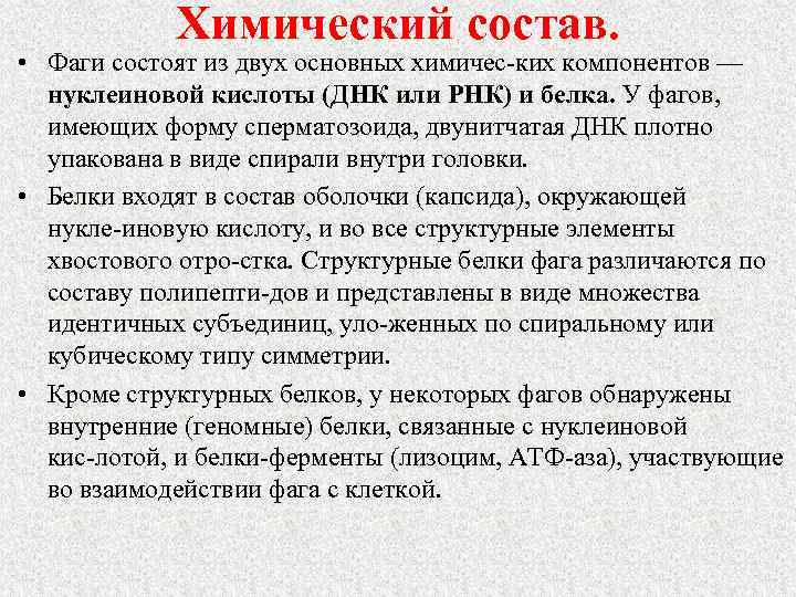 Химический состав. • Фаги состоят из двух основных химичес ких компонентов — нуклеиновой кислоты