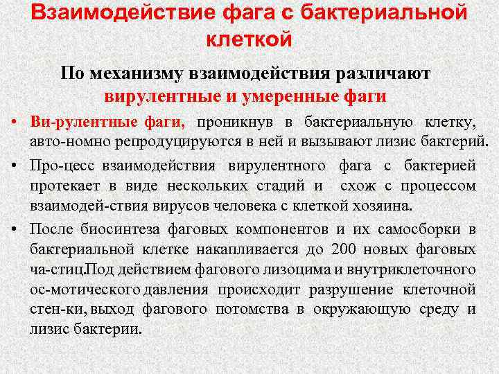 Взаимодействие фага с бактериальной клеткой По механизму взаимодействия различают вирулентные и умеренные фаги •