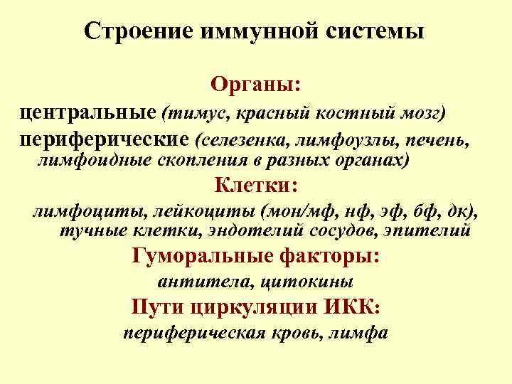 Строение иммунной системы Органы: центральные (тимус, красный костный мозг) периферические (селезенка, лимфоузлы, печень, лимфоидные