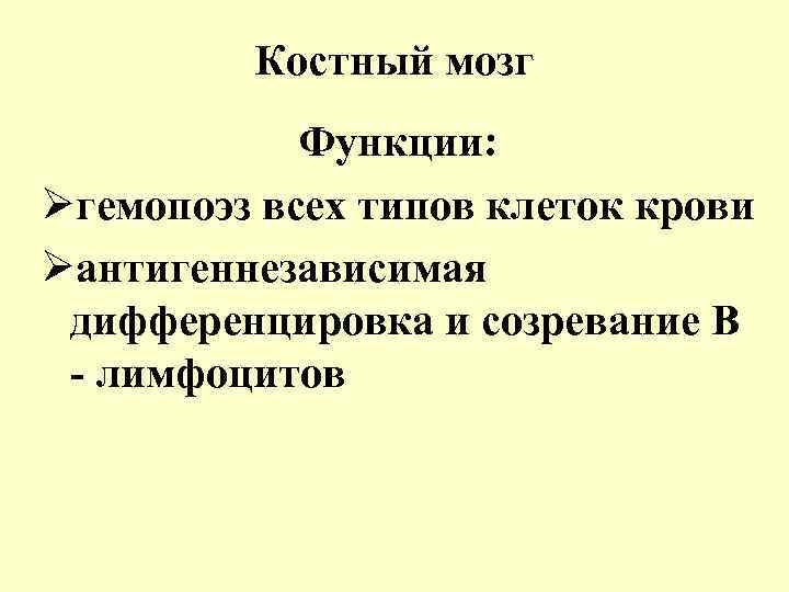 Костный мозг Функции: Øгемопоэз всех типов клеток крови Øантигеннезависимая дифференцировка и созревание В -