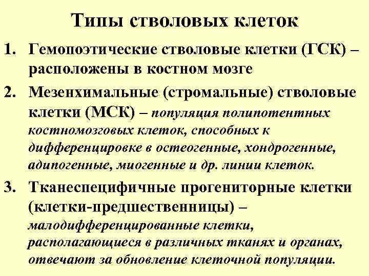 Типы стволовых клеток 1. Гемопоэтические стволовые клетки (ГСК) – расположены в костном мозге 2.