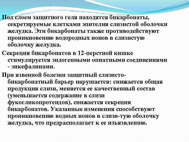 Под слоем защитного геля находятся бикарбонаты, секретируемые клетками эпителия слизистой оболочки желудка. Эти бикарбонаты
