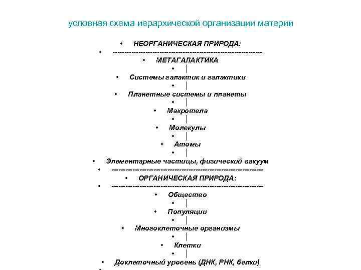 Структурные уровни иерархически организованной системы живой материи