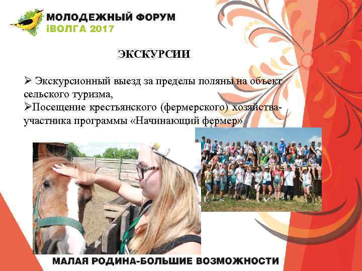 ЭКСКУРСИИ Ø Экскурсионный выезд за пределы поляны на объект сельского туризма, ØПосещение крестьянского (фермерского)