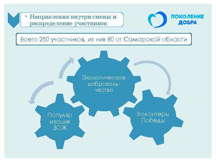  • Направления внутри смены и распределение участников Всего 250 участников, из них 80