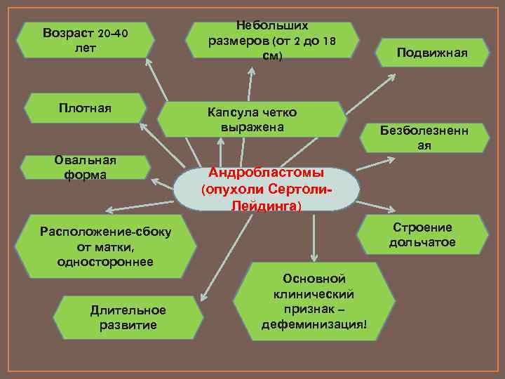 Возраст 20 -40 лет Плотная Овальная форма Небольших размеров (от 2 до 18 см)