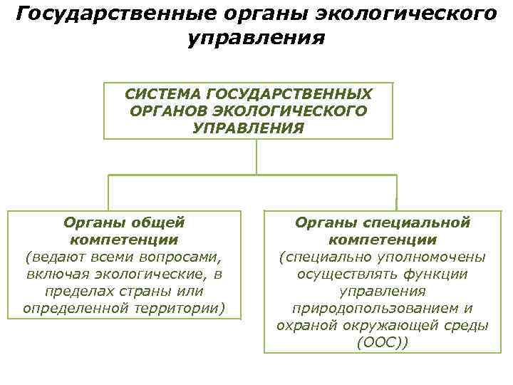 Государственные органы экологического управления СИСТЕМА ГОСУДАРСТВЕННЫХ ОРГАНОВ ЭКОЛОГИЧЕСКОГО УПРАВЛЕНИЯ Органы общей компетенции (ведают всеми