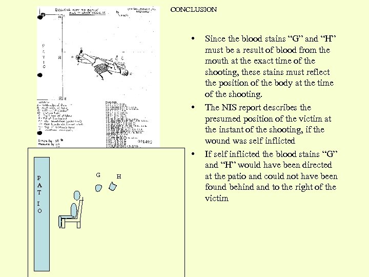CONCLUSION • • • P A T I O G H Since the blood