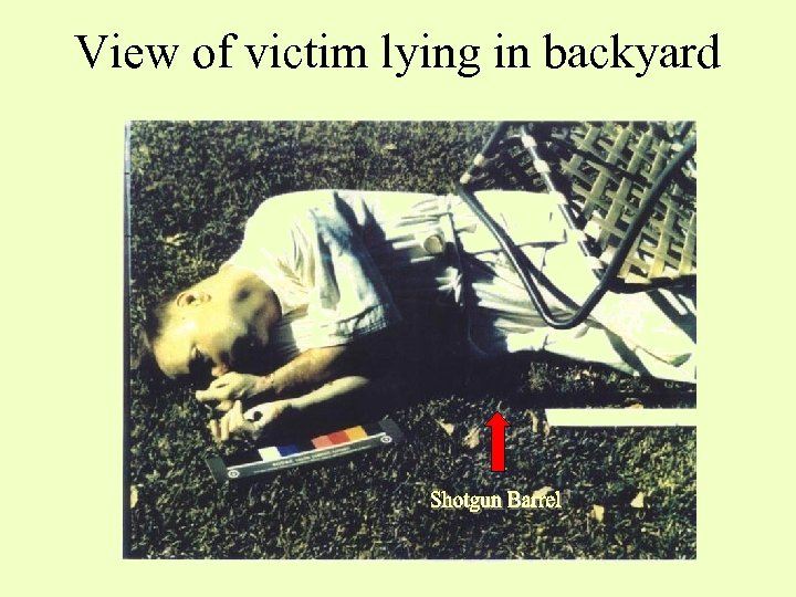 View of victim lying in backyard 