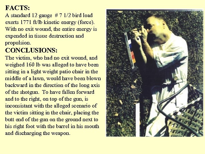 FACTS: A standard 12 gauge # 7 1/2 bird load exerts 1771 ft/lb kinetic