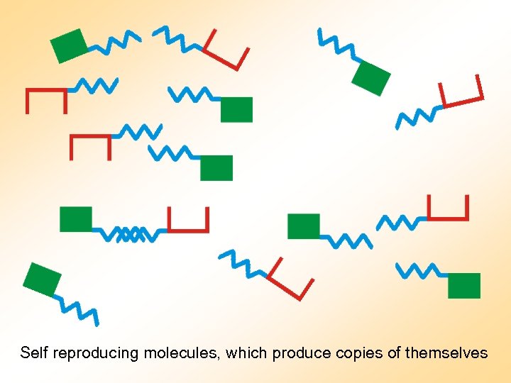 Self reproducing molecules, which produce copies of themselves 