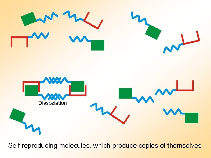 Dissoziation Self reproducing molecules, which produce copies of themselves 