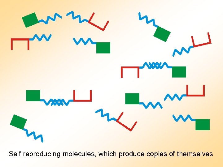 Self reproducing molecules, which produce copies of themselves 