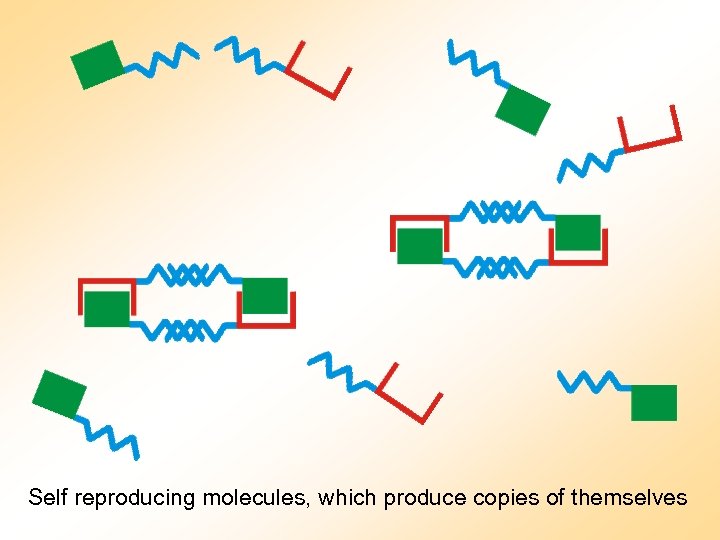 Self reproducing molecules, which produce copies of themselves 