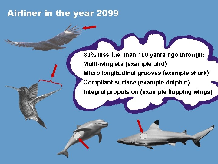 Airliner in the year 2099 80% less fuel than 100 years ago through: Multi-winglets