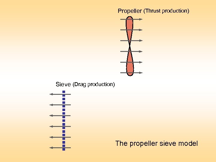 Propeller (Thrust production) Sieve (Drag production) The propeller sieve model 