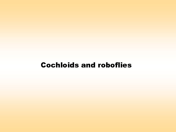 Cochloids and roboflies 