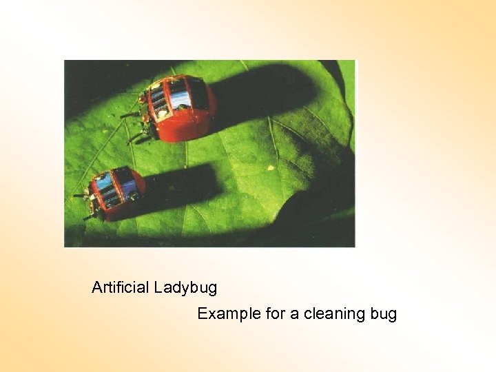 Artificial Ladybug Example for a cleaning bug 