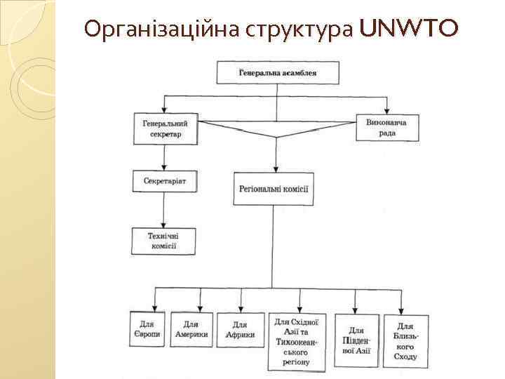 Організаційна структура UNWTO 