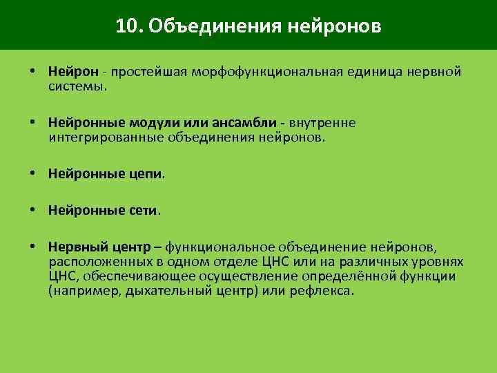 10. Объединения нейронов • Нейрон простейшая морфофункциональная единица нервной системы. • Нейронные модули или