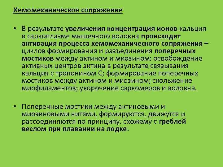 Хемомеханическое сопряжение • В результате увеличения концентрация ионов кальция в саркоплазме мышечного волокна происходит