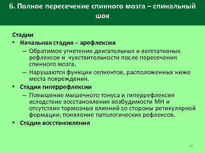 6. Полное пересечение спинного мозга – спинальный шок Стадии • Начальная стадия – арефлексия