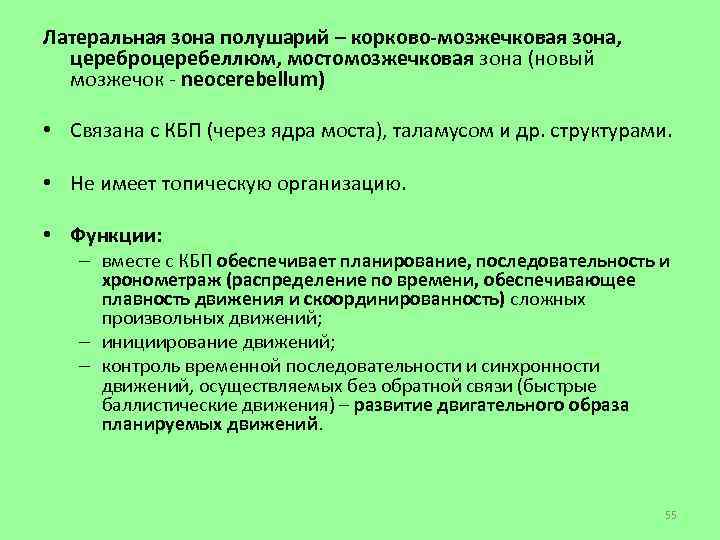 Латеральная зона полушарий – корково-мозжечковая зона, цереброцеребеллюм, мостомозжечковая зона (новый мозжечок - neocerebellum) •