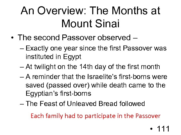 An Overview: The Months at Mount Sinai • The second Passover observed – –