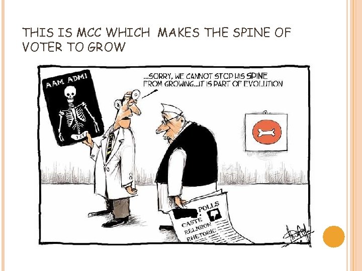 THIS IS MCC WHICH MAKES THE SPINE OF VOTER TO GROW 